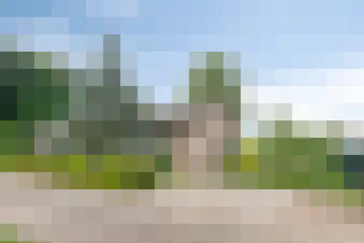 Sint Josephstraat 12 Stevensbeek thumbnail 9