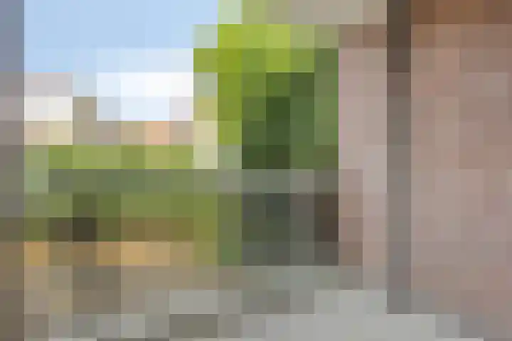 Sint Josephstraat 122 's-Hertogenbosch thumbnail 17