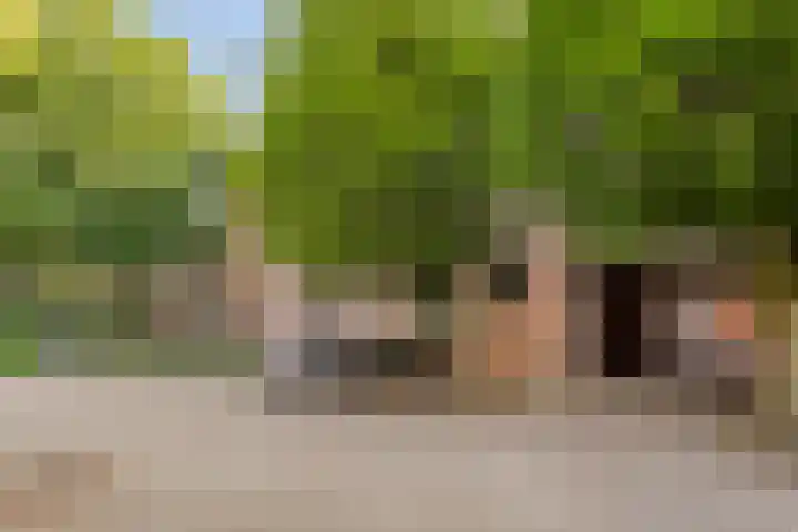 Sint Josephstraat 122 's-Hertogenbosch thumbnail 22