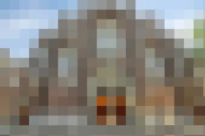 Sint Josephstraat 122 's-Hertogenbosch thumbnail 24