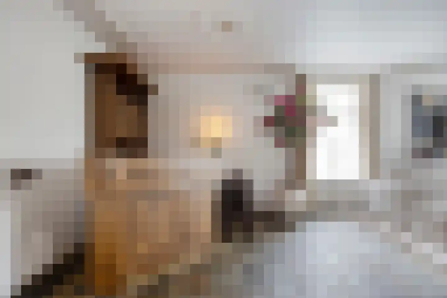 Sint Josephstraat 131 Dongen thumbnail 19