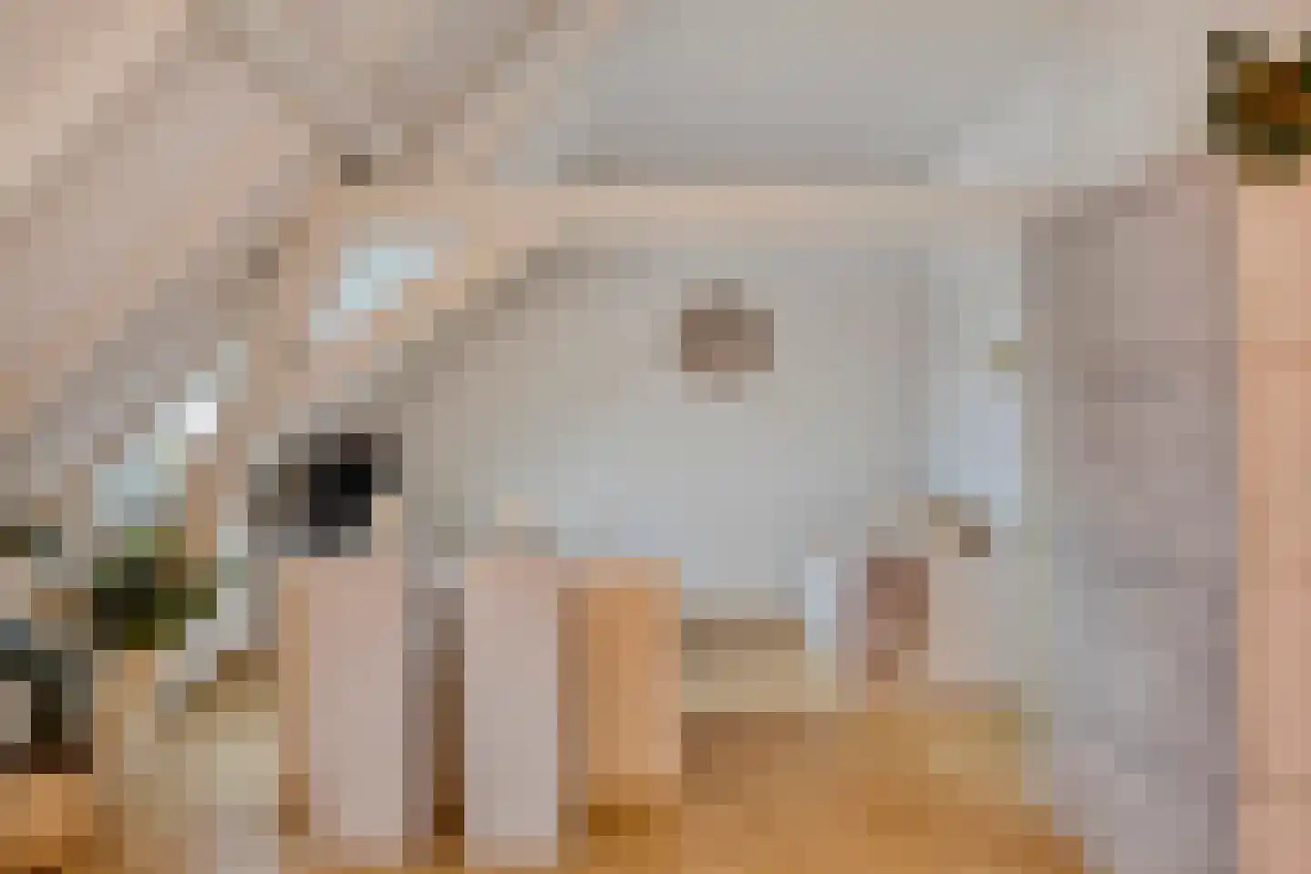 Sint Josephstraat 14 B 's-Hertogenbosch thumbnail 6