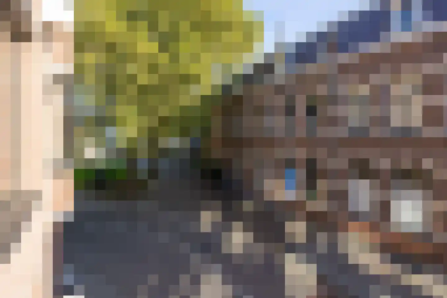 Sint Josephstraat 140 's-Hertogenbosch thumbnail 14