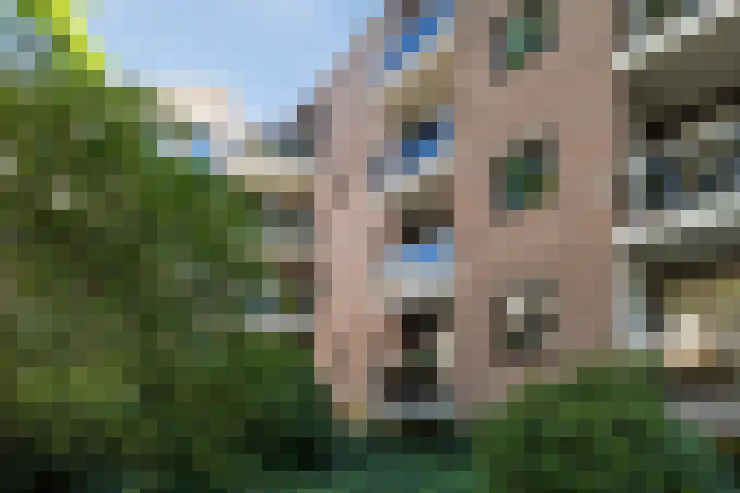 Sint Josephstraat 140 's-Hertogenbosch thumbnail 34