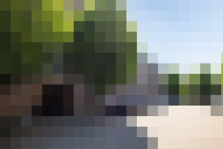 Sint Josephstraat 140 's-Hertogenbosch thumbnail 36