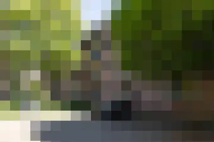 Sint Josephstraat 140 's-Hertogenbosch thumbnail 37