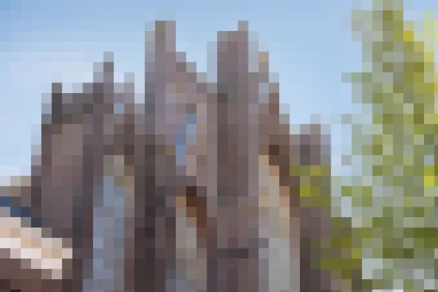 Sint Josephstraat 140 's-Hertogenbosch thumbnail 38