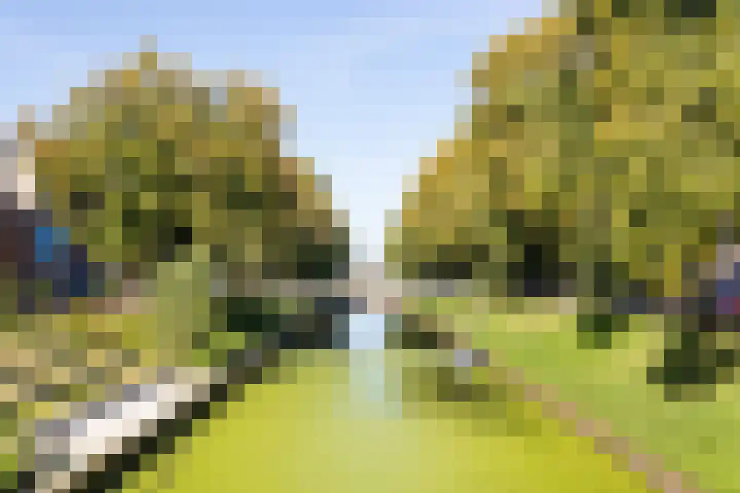 Sint Josephstraat 140 's-Hertogenbosch thumbnail 43