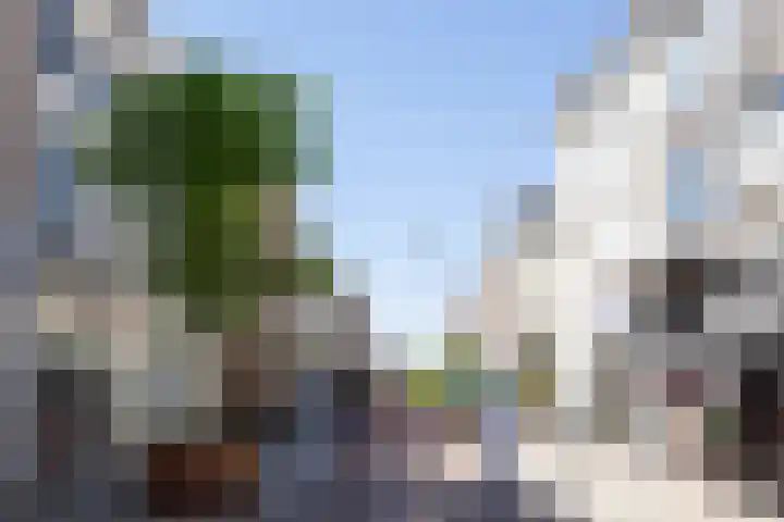 Sint Josephstraat 140 's-Hertogenbosch thumbnail 45