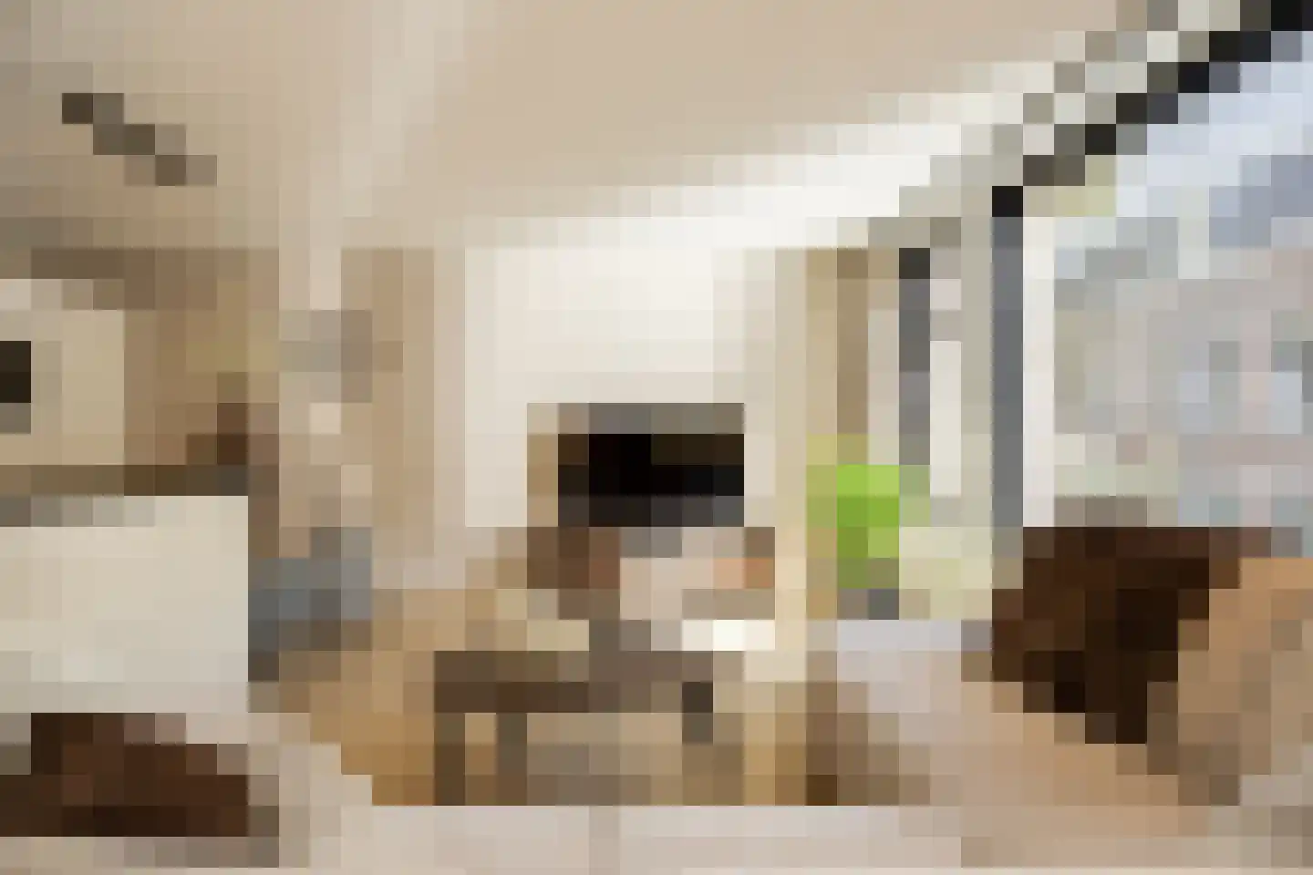 Sint Josephstraat 140 's-Hertogenbosch thumbnail 8