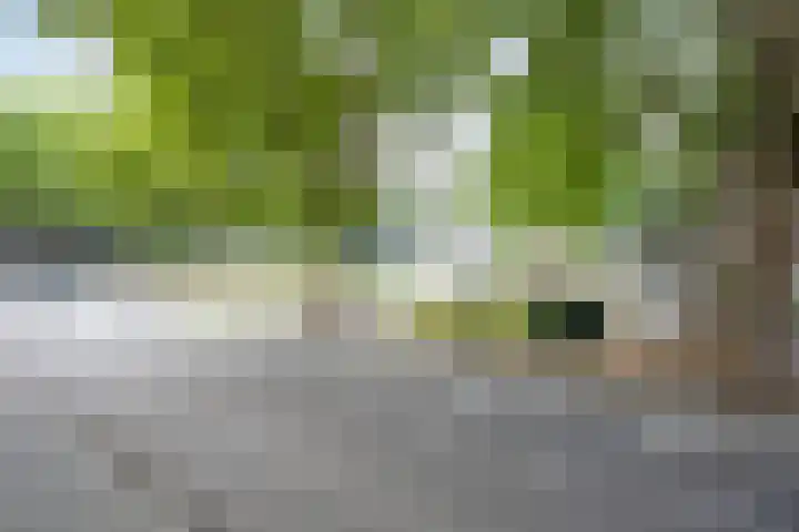 Sint Josephstraat 152 's-Hertogenbosch thumbnail 8