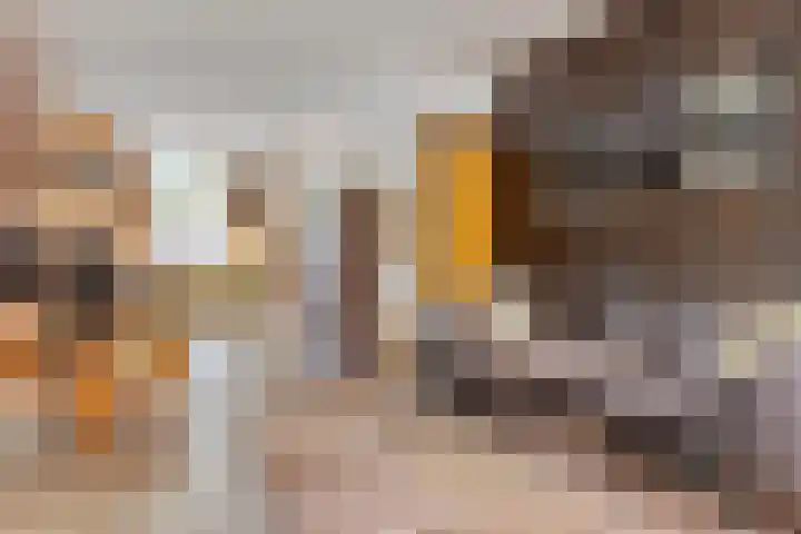 Sint Josephstraat 18 Tilburg thumbnail 4