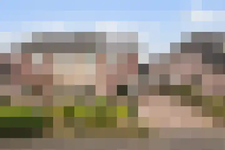 Sint Josephstraat 22 Didam thumbnail 35