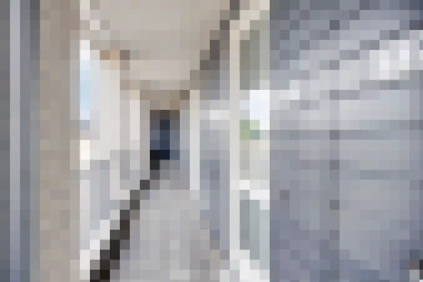 Sint Josephstraat 223 Dongen thumbnail 10