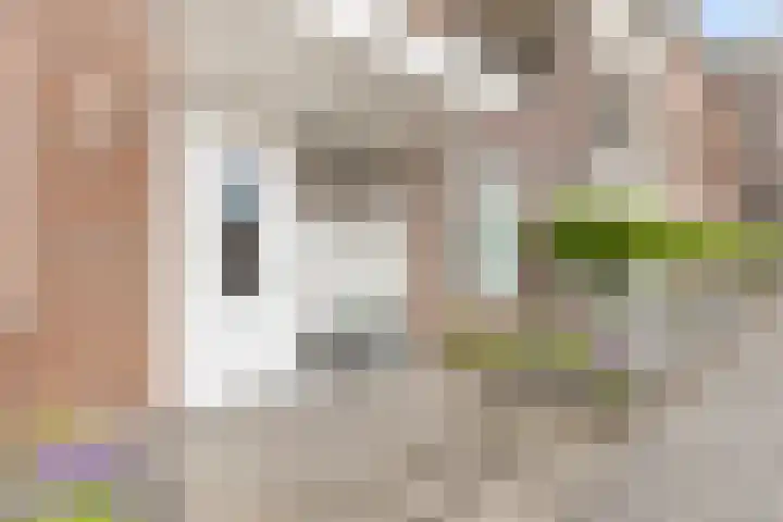 Sint Josephstraat 227 Dongen thumbnail 9