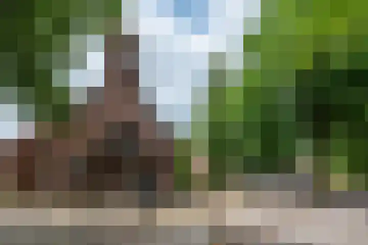Sint Josephstraat 3 D Haghorst thumbnail 5