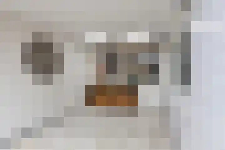 Sint Josephstraat 3 Zwolle thumbnail 31