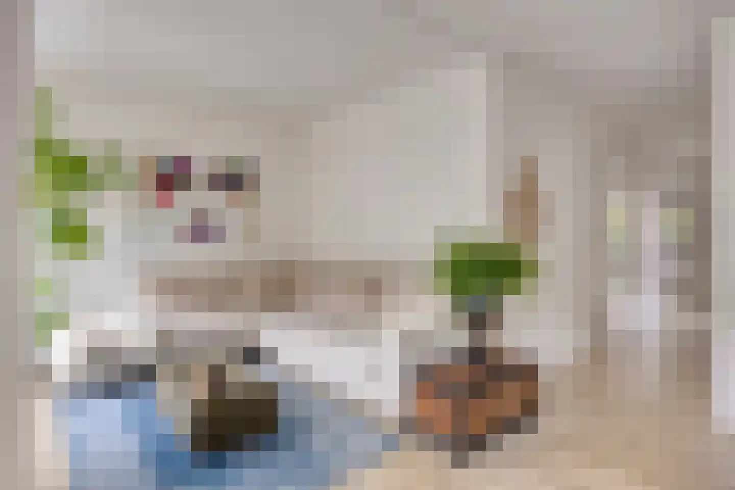 Sint Josephstraat 62 's-Hertogenbosch thumbnail 5