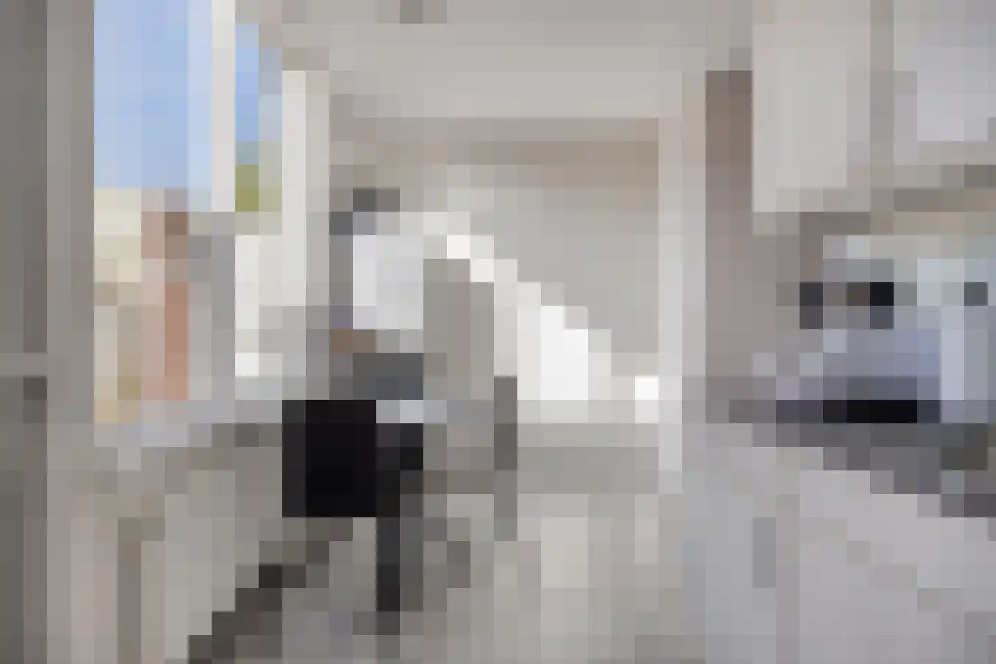 Sint Josephstraat 65 Roosendaal thumbnail 9
