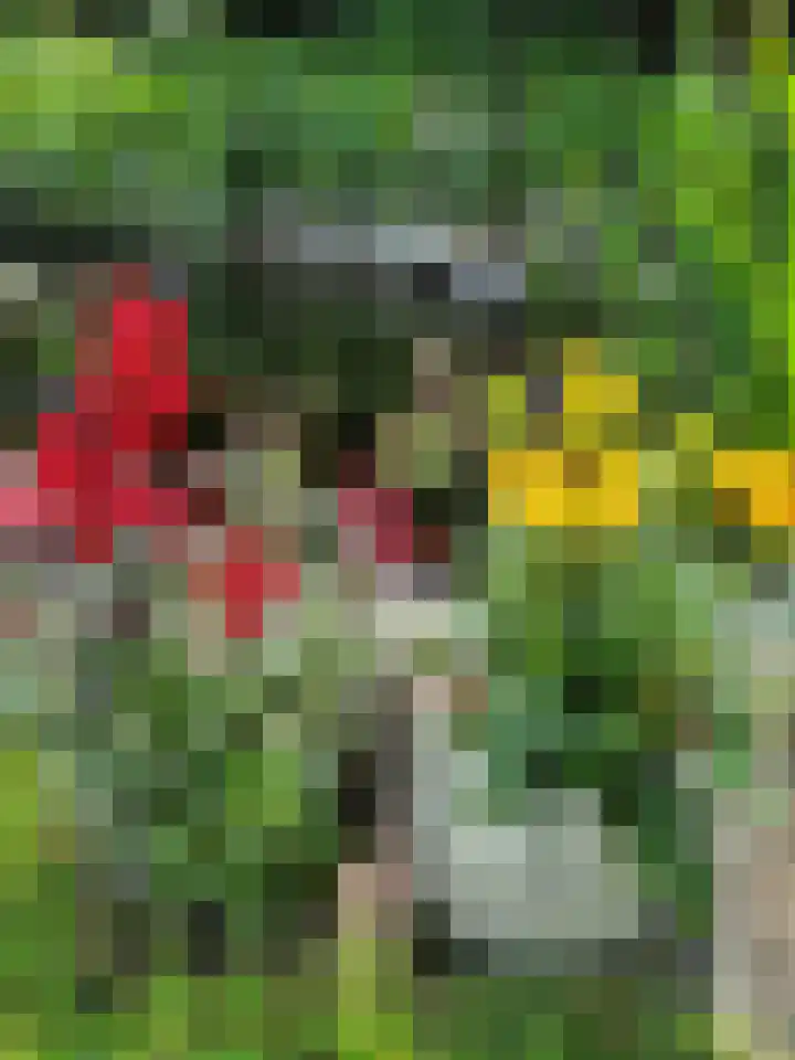 Sint Josephstraat 7 Stevensbeek thumbnail 30
