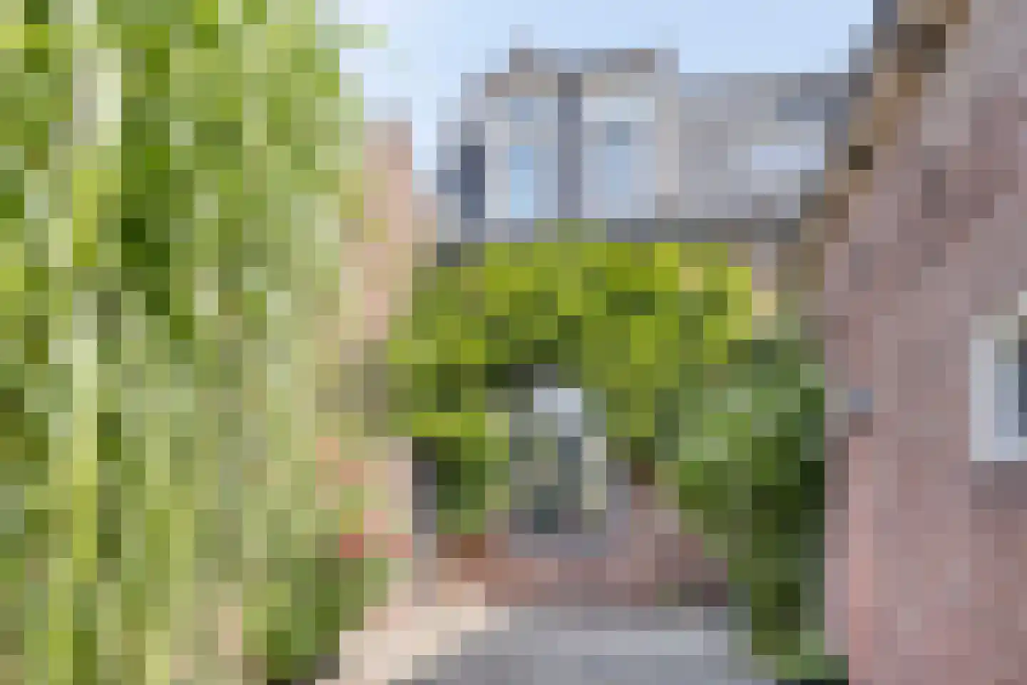 Sint Josephstraat 72 Tilburg thumbnail 39