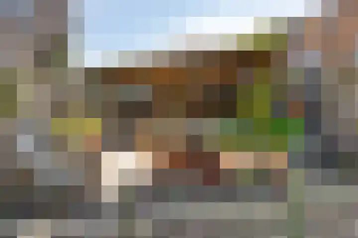 Sint Josephstraat 9 Dongen thumbnail 41