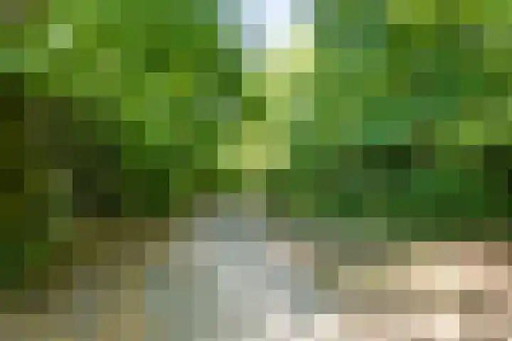 Sint Josephstraat 9 Dongen thumbnail 56