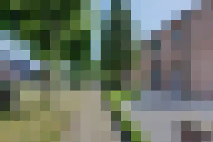 Sint Josephstraat 9 Stevensbeek thumbnail 39