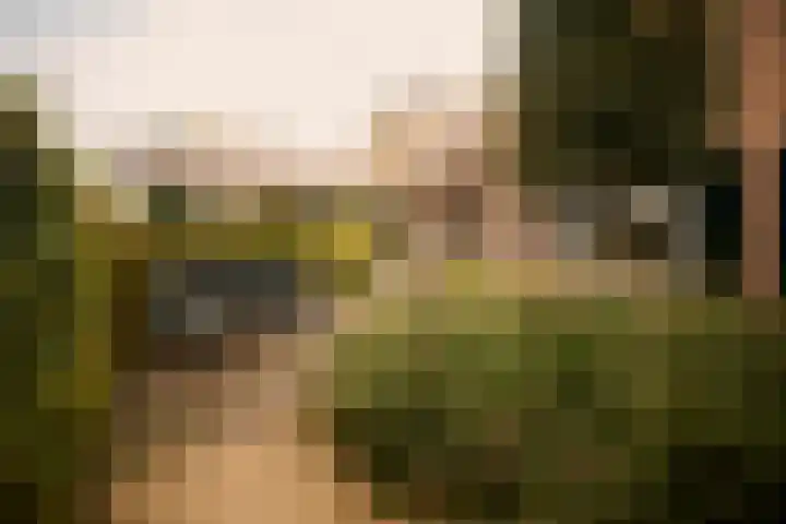 Sint Josephweg 2 Blaricum thumbnail 31