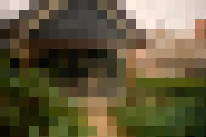 Sint Josephweg 2 Blaricum thumbnail 36