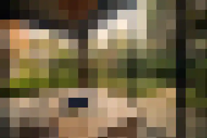 Sint Josephweg 2 Blaricum thumbnail 37