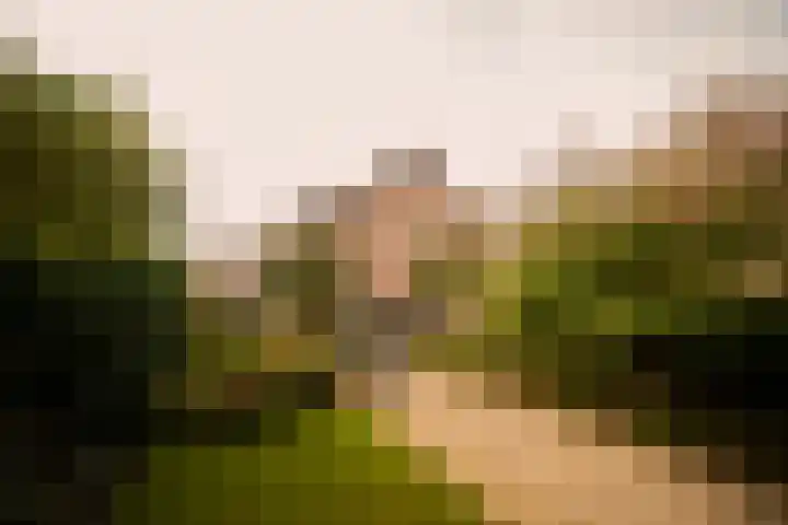 Sint Josephweg 2 Blaricum thumbnail 40