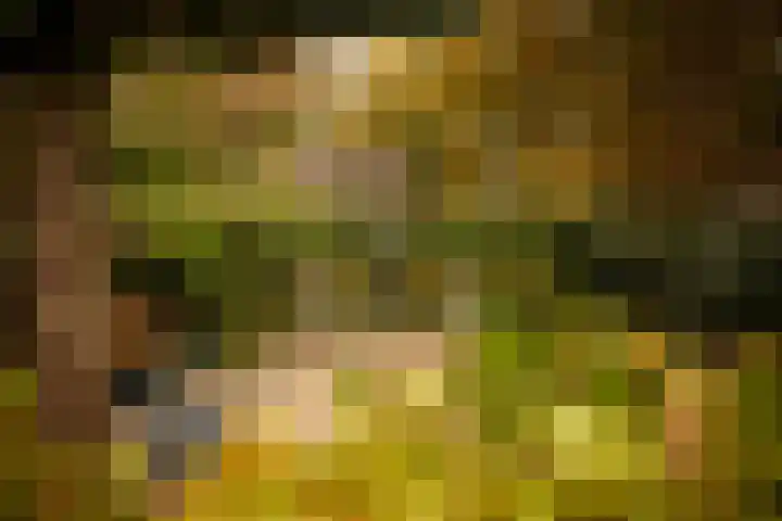 Sint Josephweg 2 Blaricum thumbnail 41