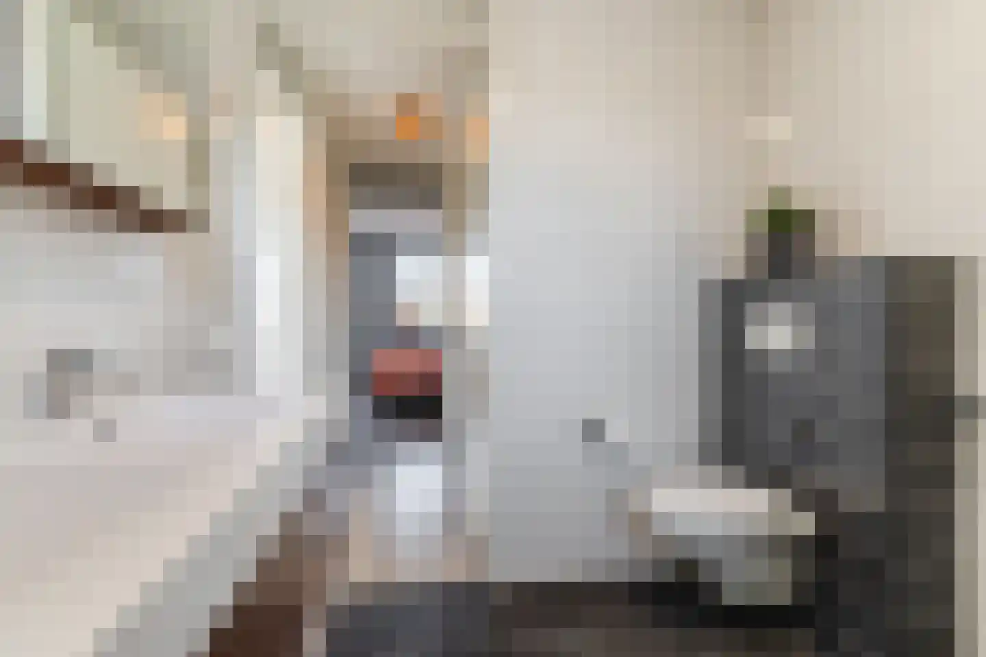 Sint Jozefhof 11 Made thumbnail 26