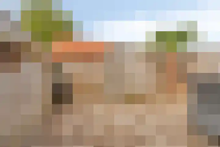 Sint Jozefhof 14 Made thumbnail 23