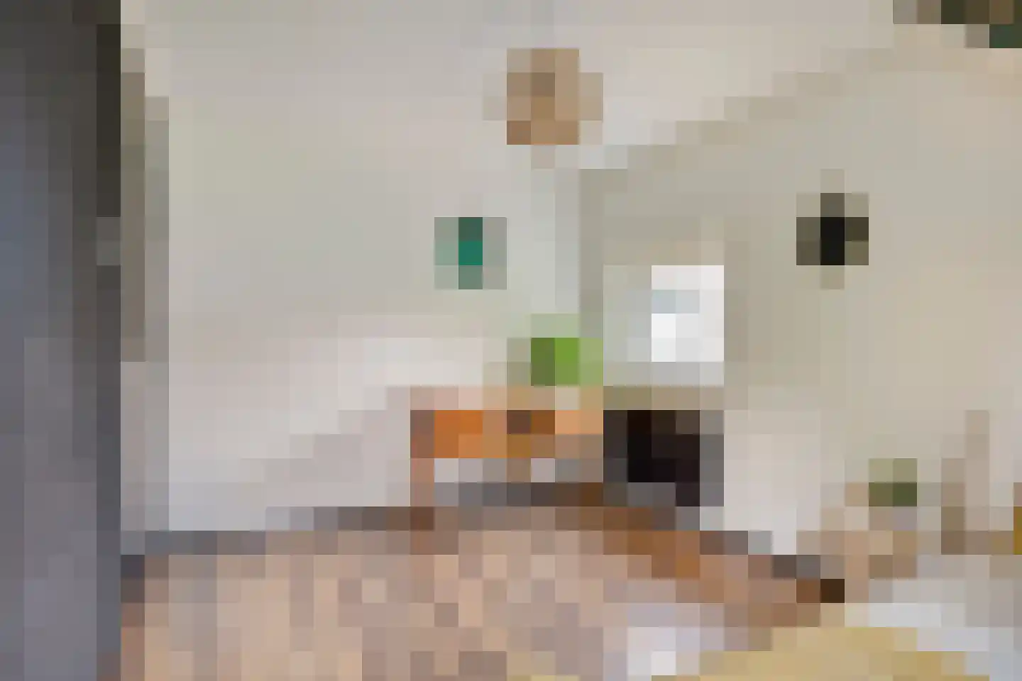 Sint Jozefplein 14 Asten thumbnail 32