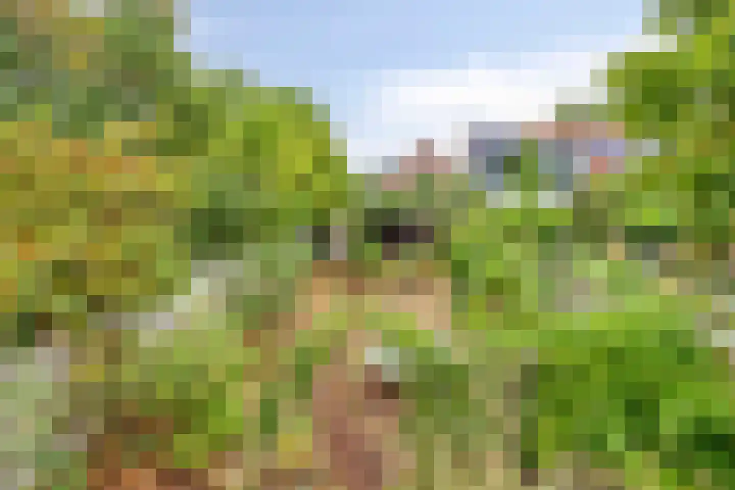 Sint Jozefplein 14 Asten thumbnail 47