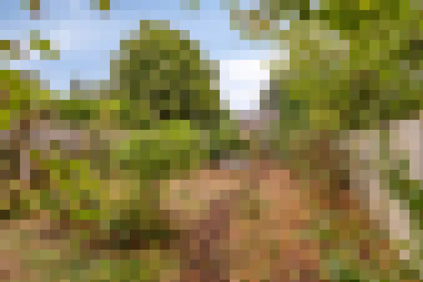 Sint Jozefplein 14 Asten thumbnail 5