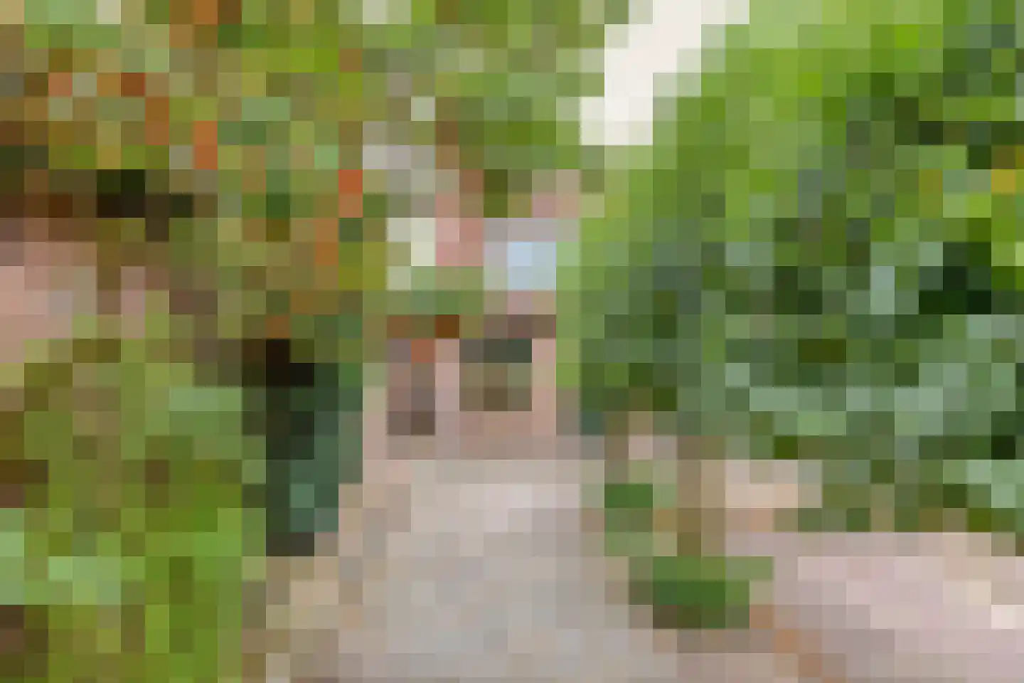 Sint Jozefplein 14 Asten thumbnail 51