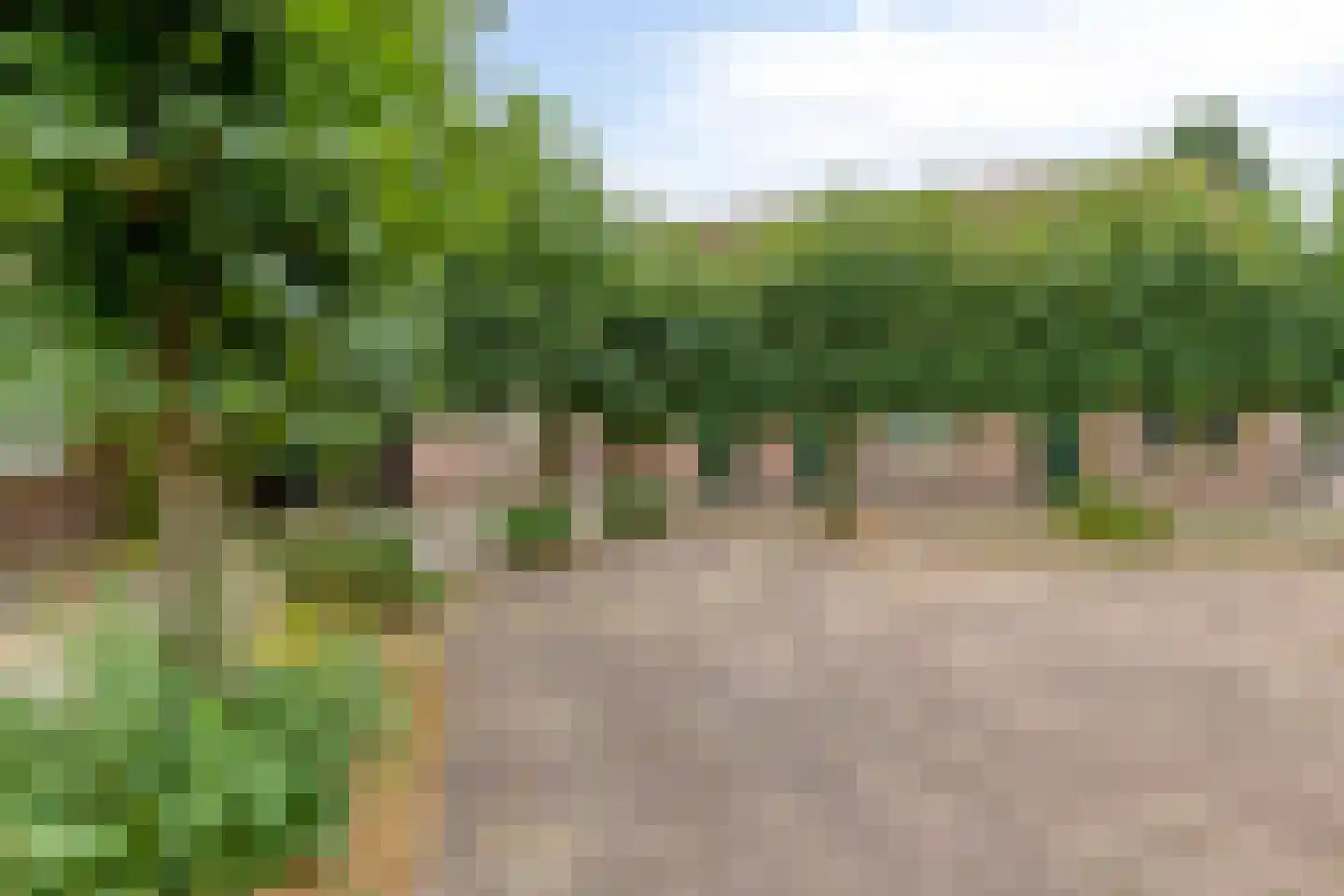 Sint Jozefplein 14 Asten thumbnail 6