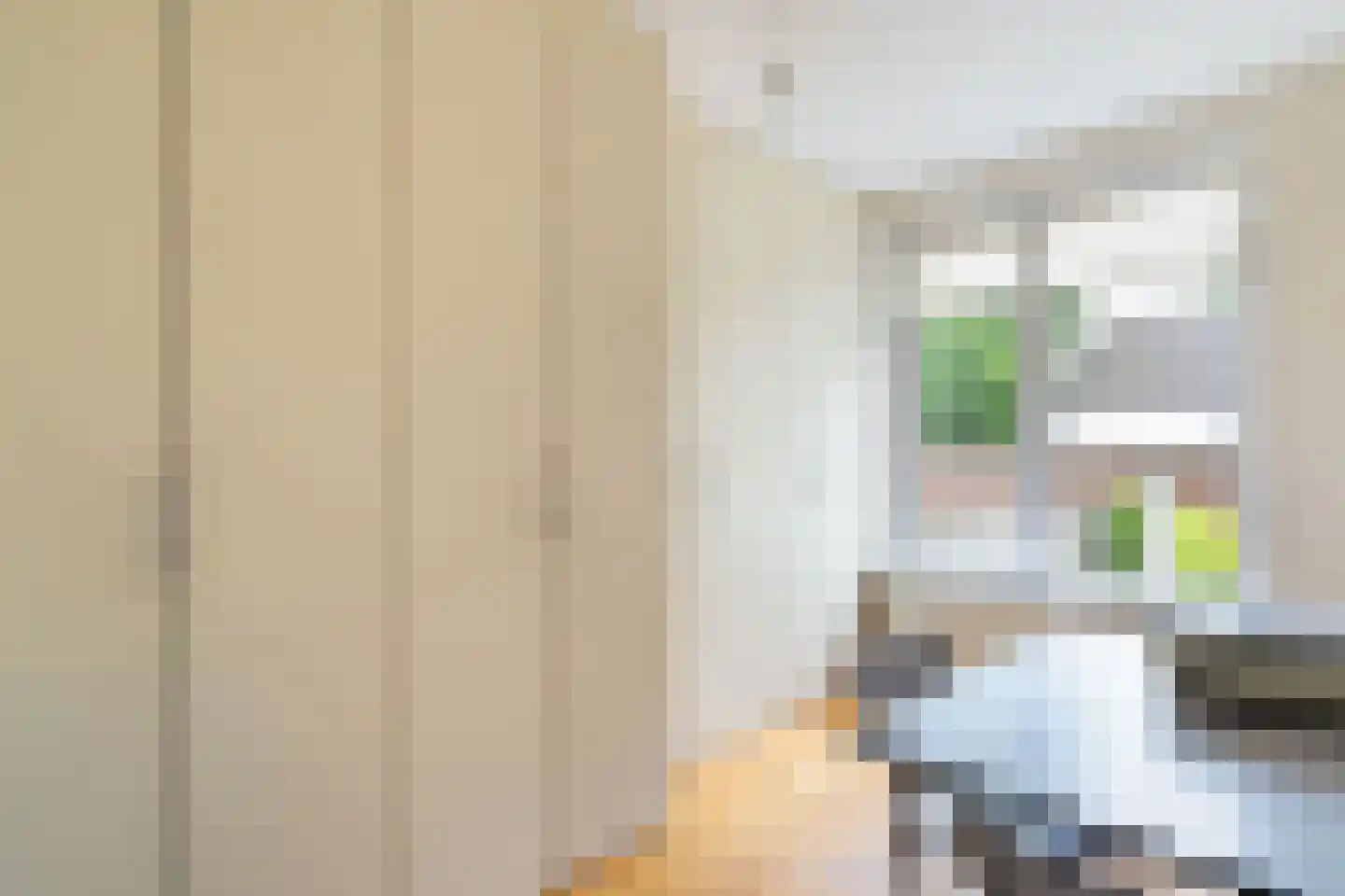 Sint Jozefslaan 131 Weert thumbnail 24