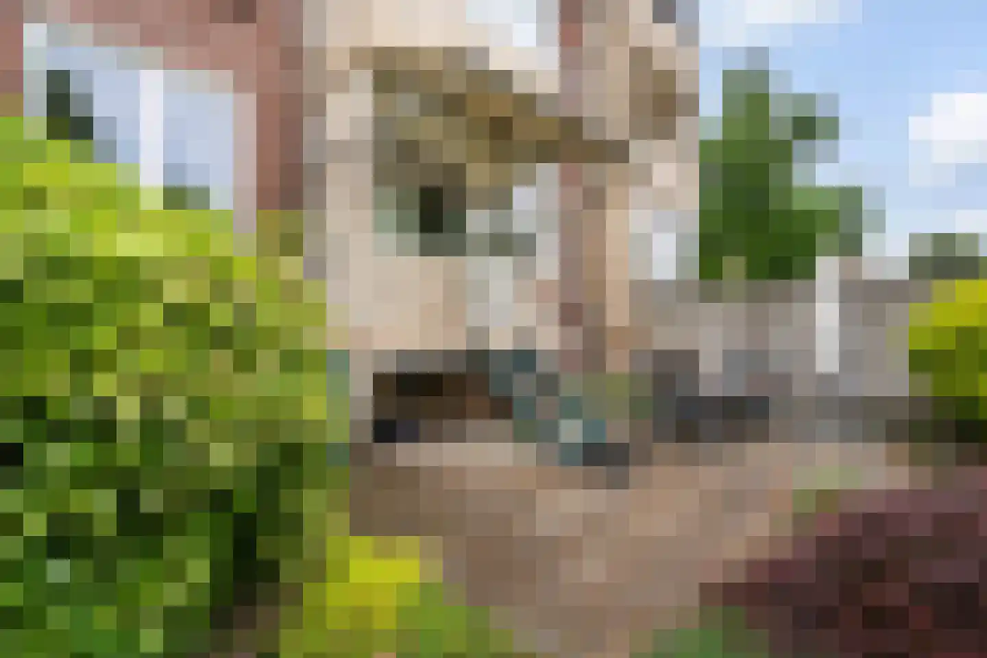 Sint Jozefslaan 131 Weert thumbnail 32