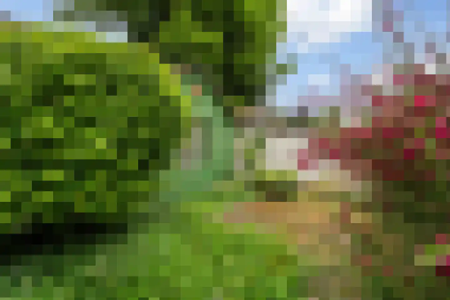 Sint Jozefslaan 131 Weert thumbnail 35