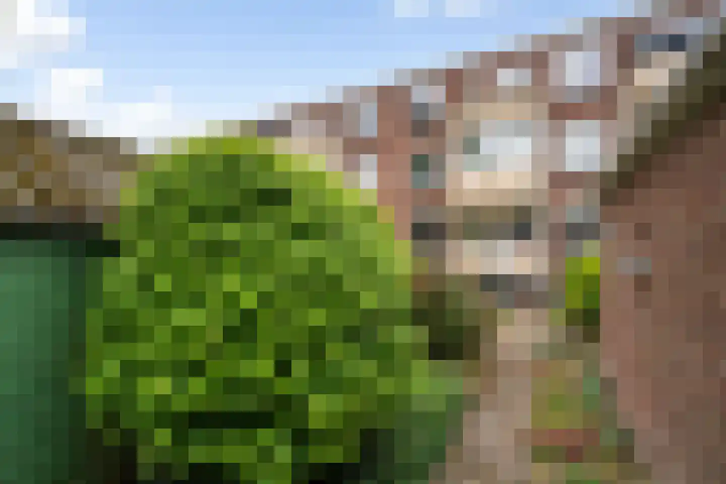 Sint Jozefslaan 131 Weert thumbnail 38