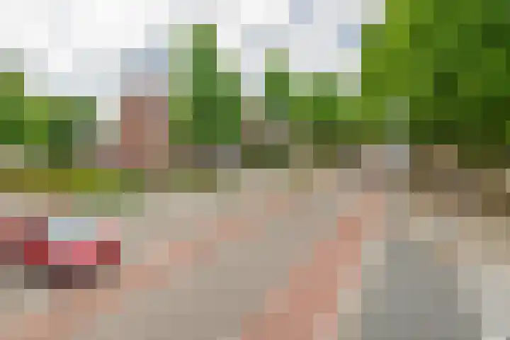 Sint Jozefslaan 137 Weert thumbnail 27