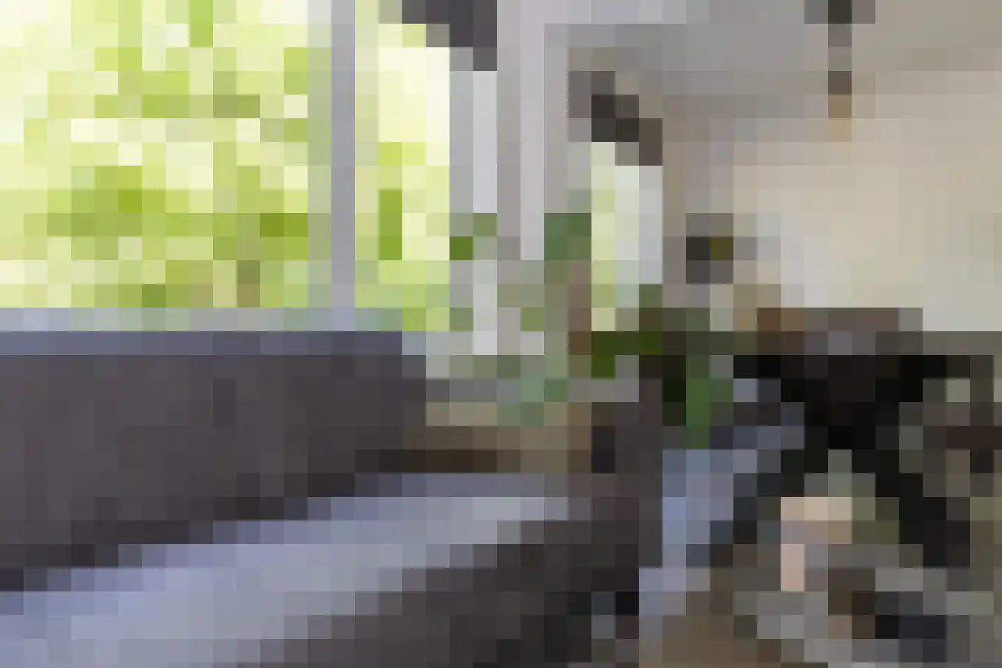 Sint Jozefslaan 141 Weert thumbnail 10