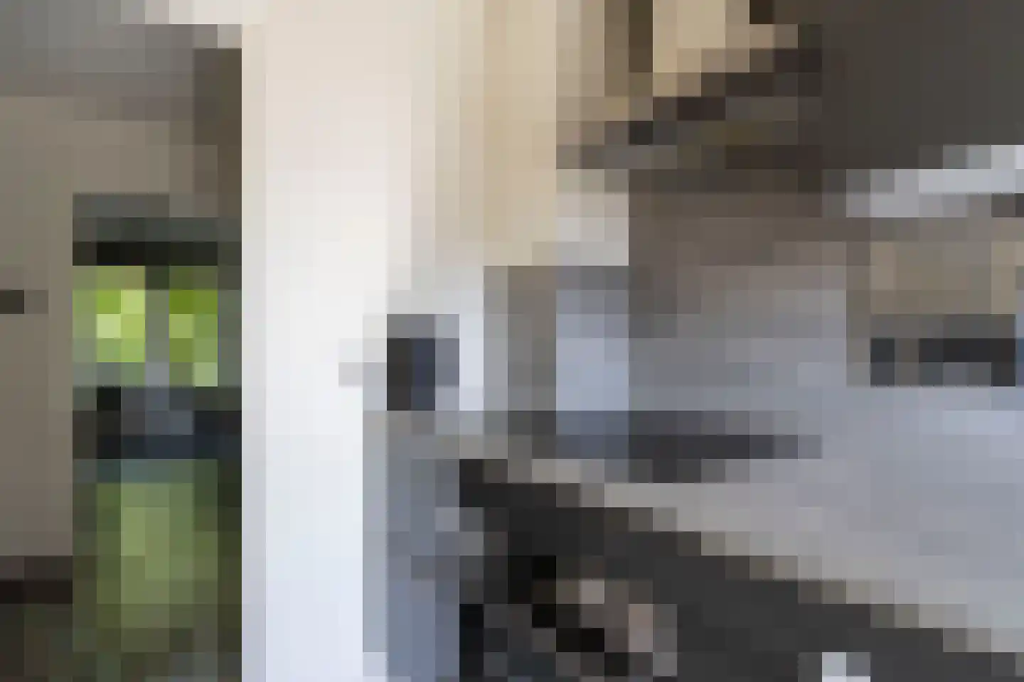 Sint Jozefslaan 141 Weert thumbnail 12