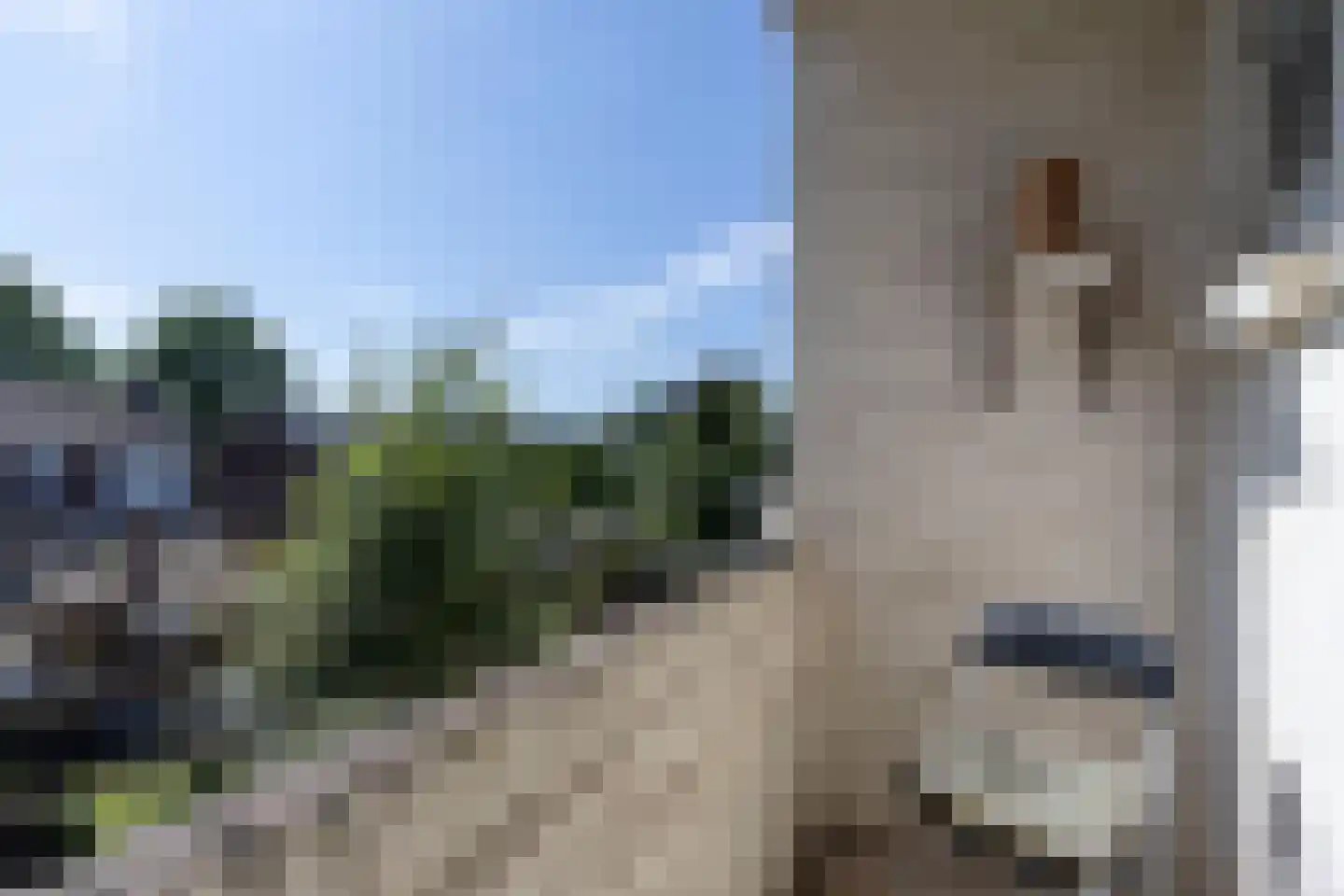 Sint Jozefslaan 141 Weert thumbnail 21