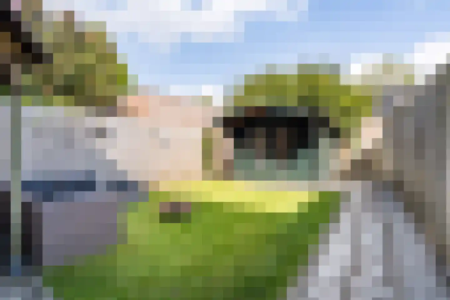 Sint Jozefslaan 157 Weert thumbnail 21