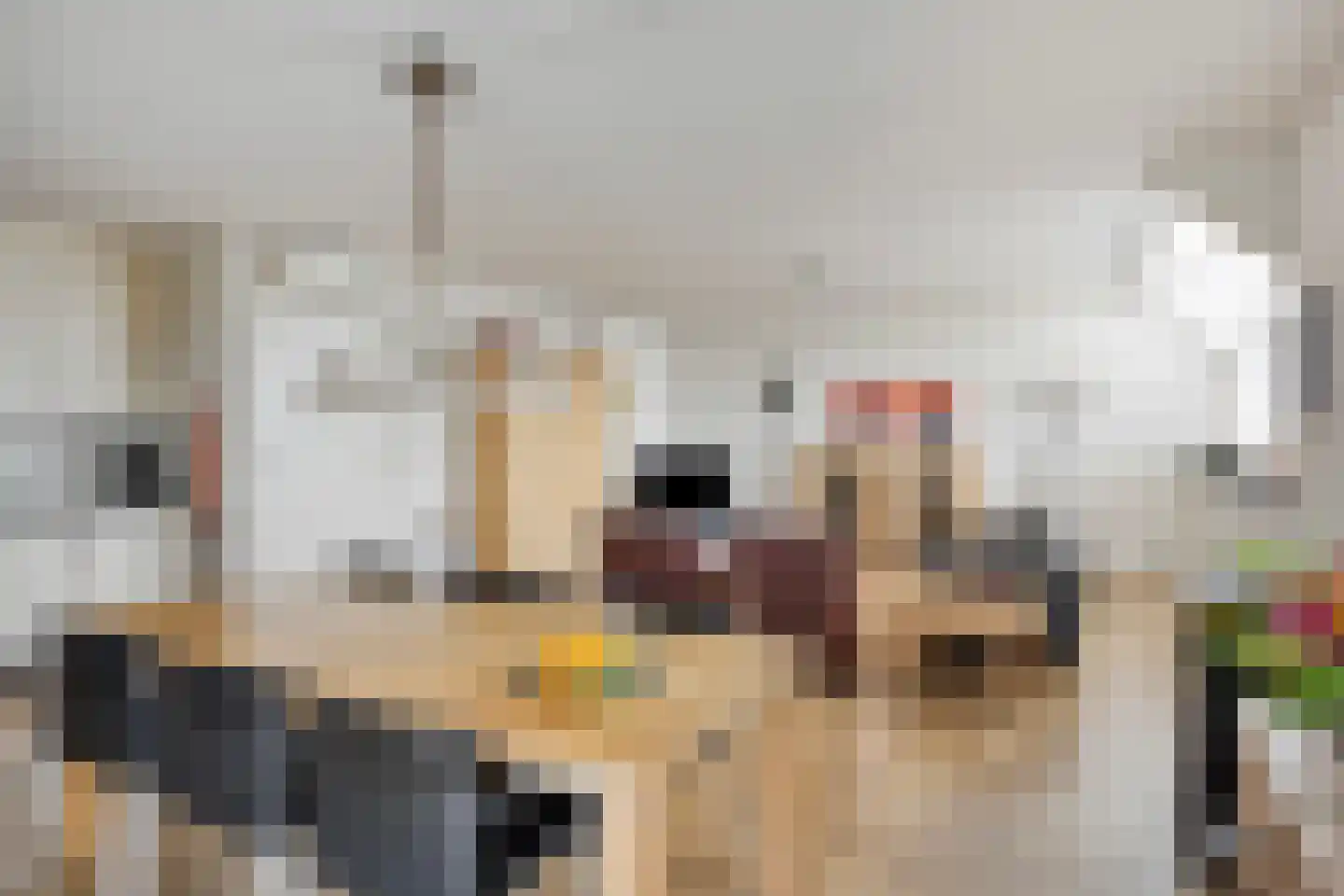Sint Jozefstraat 1 k Boxmeer thumbnail 8